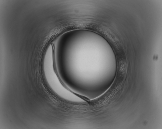 X0000097900685200803281339