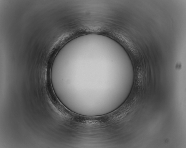 X0000097900686200803281339