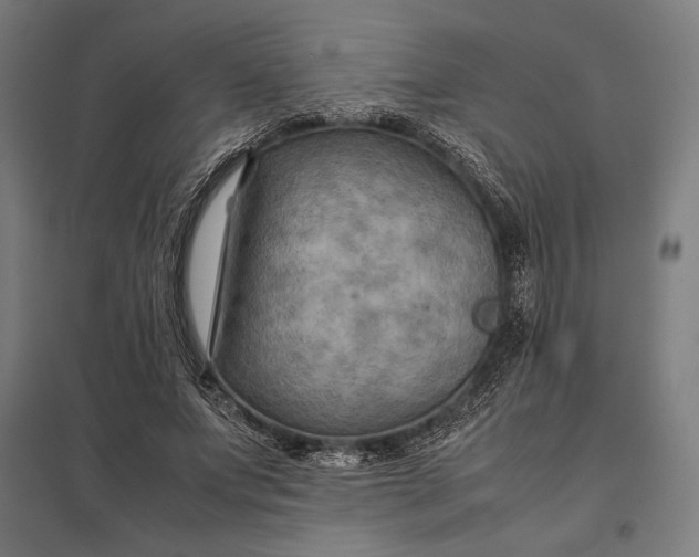 X0000097900687200803281339