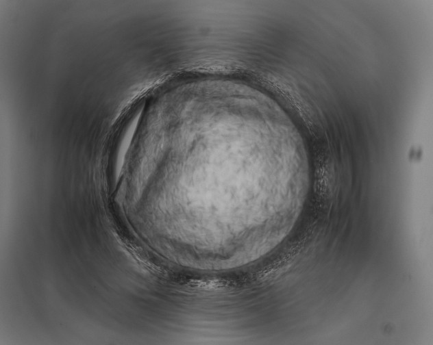 X0000097900688200803281339