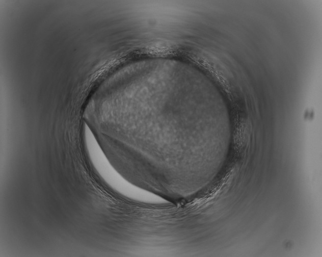 X0000097900689200803281339