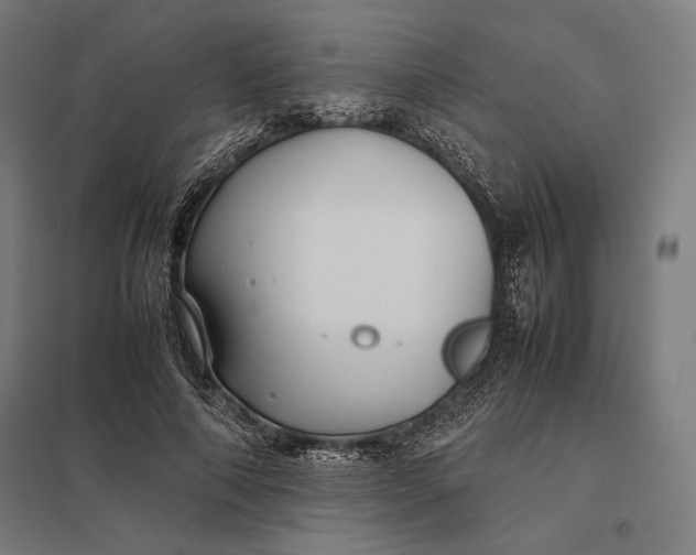 X0000097900690200803281339