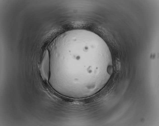 X0000097900691200803281339