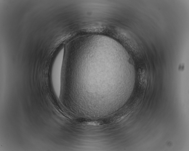 X0000097900692200803281339