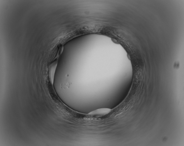 X0000097900693200803281339