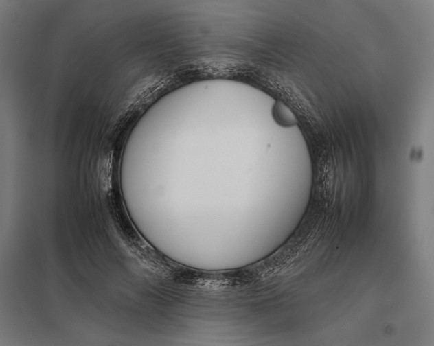 X0000097900694200803281339