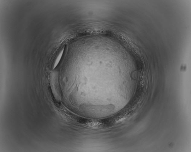 X0000097900695200803281339