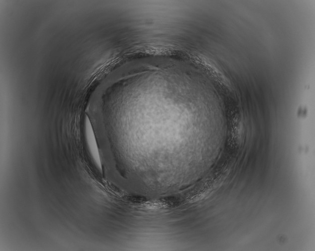 X0000097900696200803281339