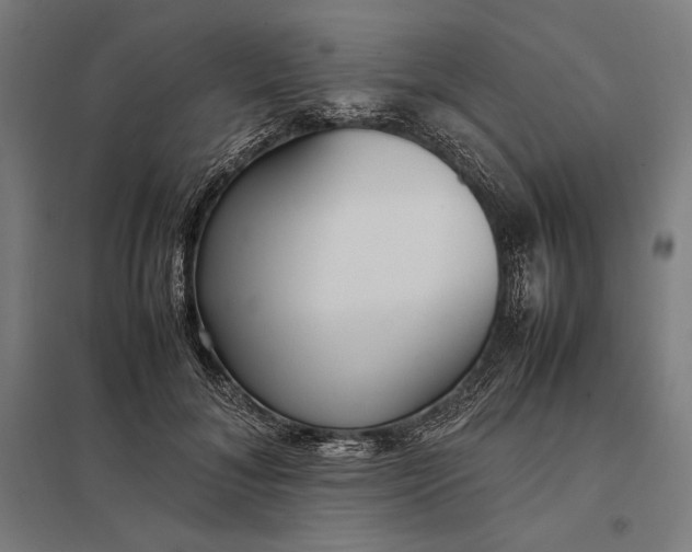 X0000097900700200803281339