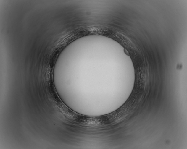 X0000097900702200803281339