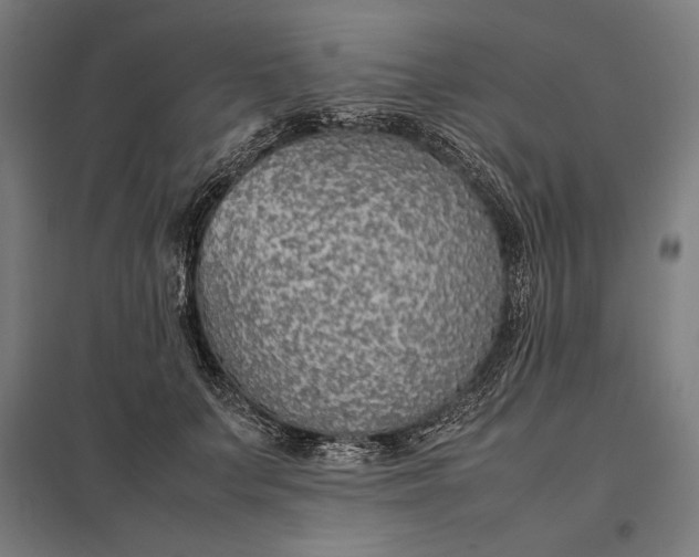 X0000097900703200803281339