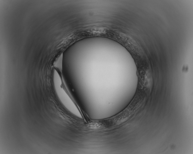 X0000097900704200803281339