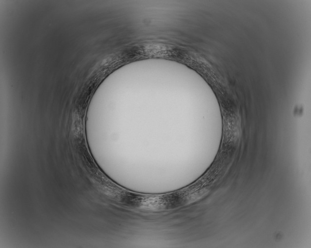 X0000097900705200803281339