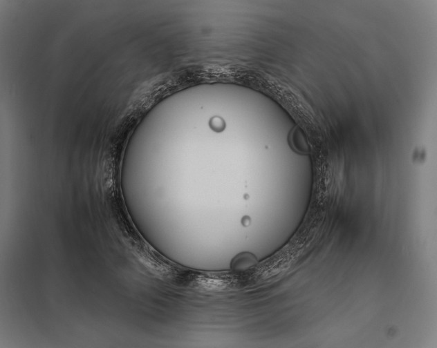 X0000097900706200803281339