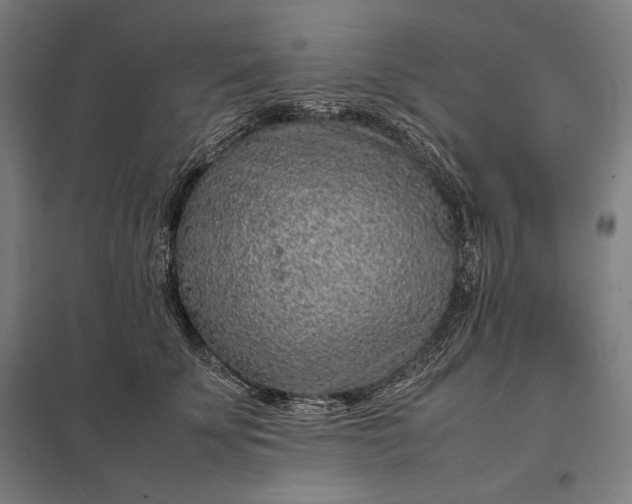 X0000097900707200803281339