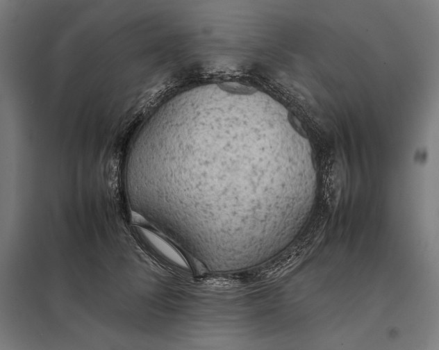 X0000097900708200803281339