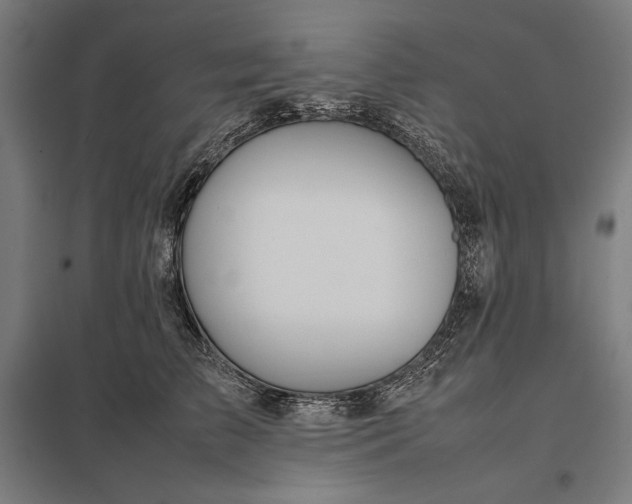 X0000097900709200803281339