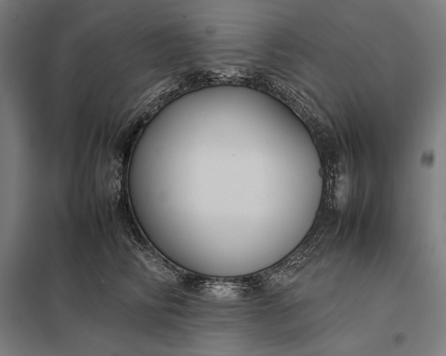 X0000097900710200803281339