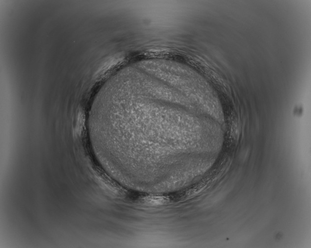 X0000097900711200803281339