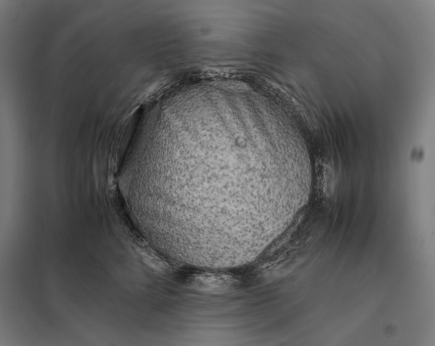 X0000097900712200803281339