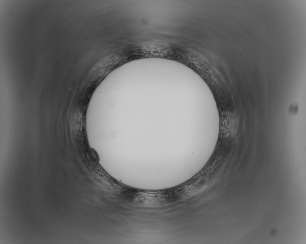 X0000097900713200803281339