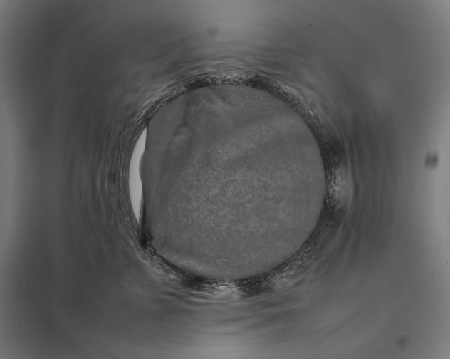 X0000097900715200803281339