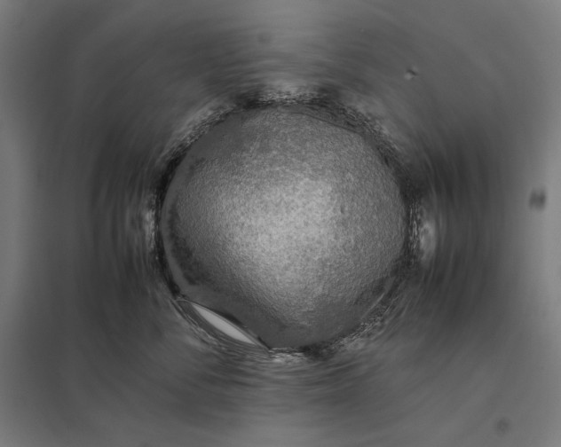 X0000097900716200803281339