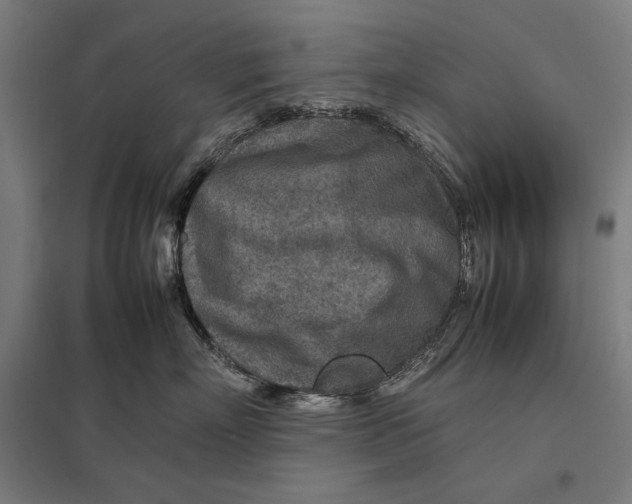 X0000097900718200803281339