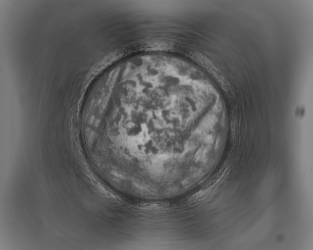 X0000097900721200803281338