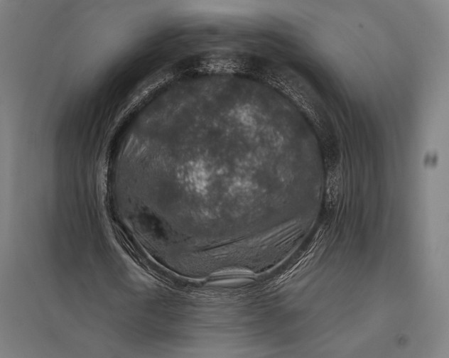 X0000097900722200803281338