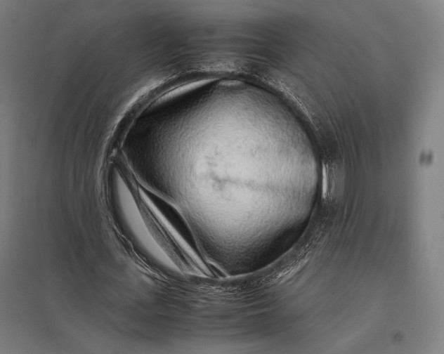 X0000097900723200803281338