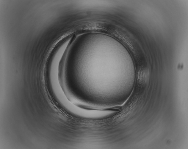 X0000097900724200803281338