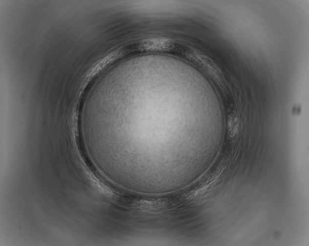 X0000097900725200803281338