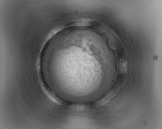 X0000097900726200803281338