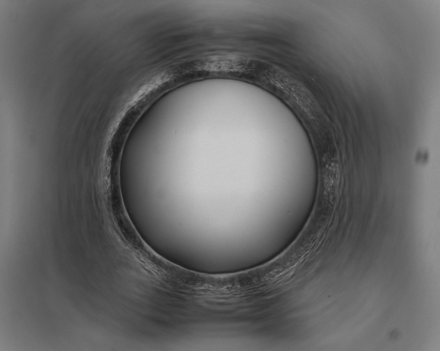 X0000097900727200803281338