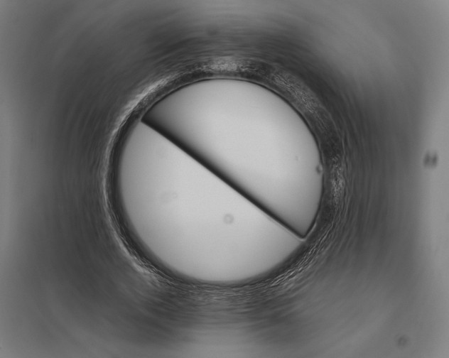 X0000097900728200803281338