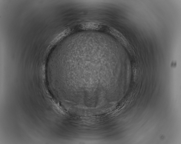 X0000097900729200803281338