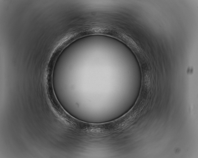 X0000097900730200803281338