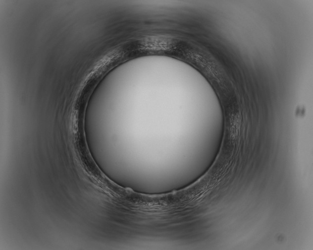 X0000097900731200803281338