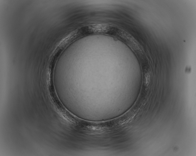 X0000097900733200803281339