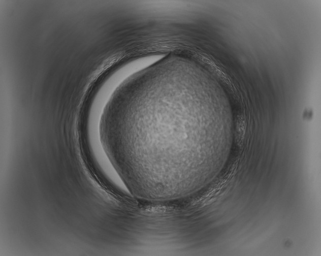 X0000097900734200803281339