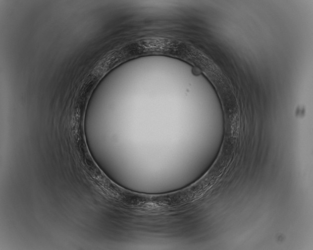 X0000097900737200803281339