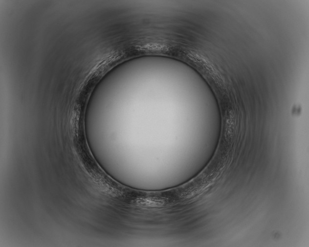 X0000097900739200803281339