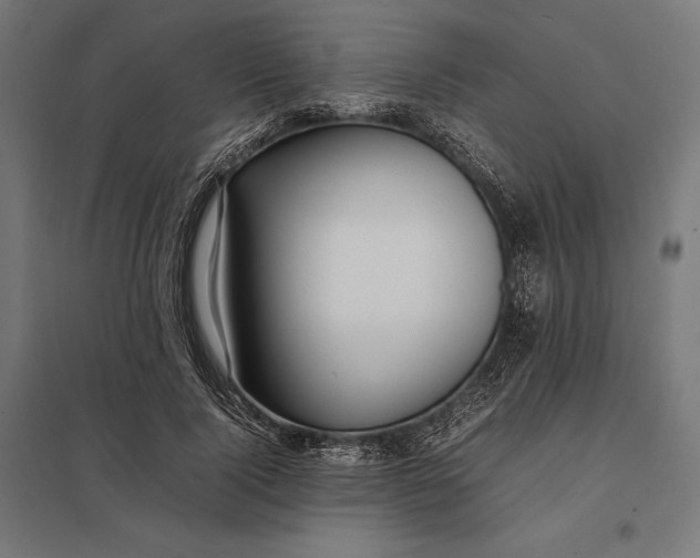 X0000097900740200803281339