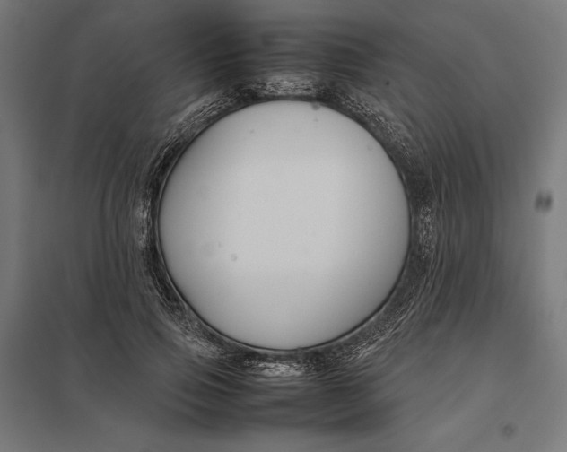 X0000097900741200803281339