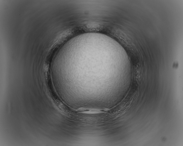 X0000097900742200803281339