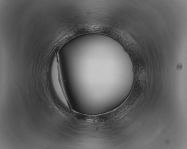 X0000097900744200803281339