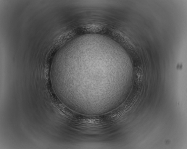 X0000097900745200803281339