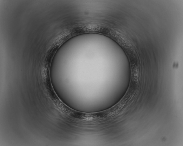 X0000097900746200803281339