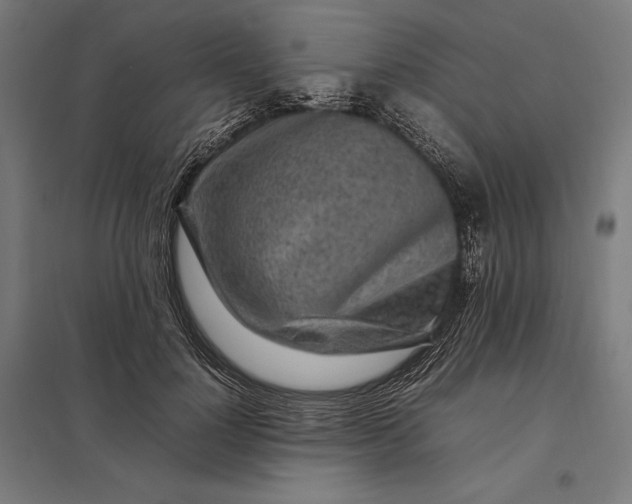 X0000097900748200803281339